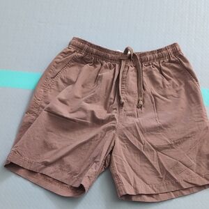 Mollusk Surf Summer Shorts